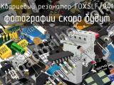 Кварцевый резонатор FOXSLF/041