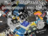 Модуль GD50PIX65C5S