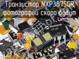 Транзистор NXP3875GR 