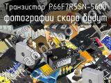 P66F7R5SN-5600
