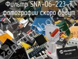 Фильтр SNA-06-223-T 