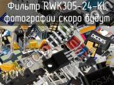 Фильтр RWK305-24-KL 