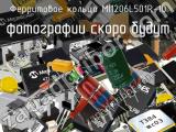 Ферритовое кольцо MI1206L501R-10