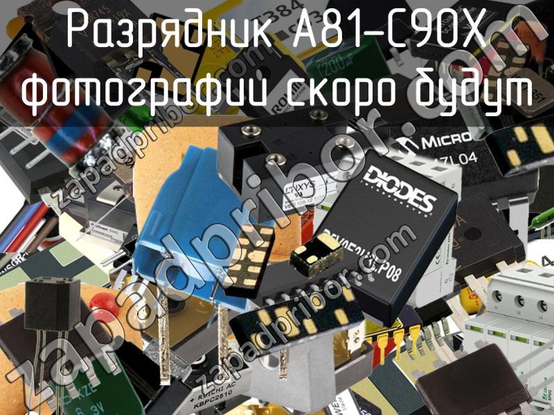 Разрядник A81-C90X фотография.