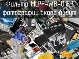 Фильтр MLPF-WB-01E3 