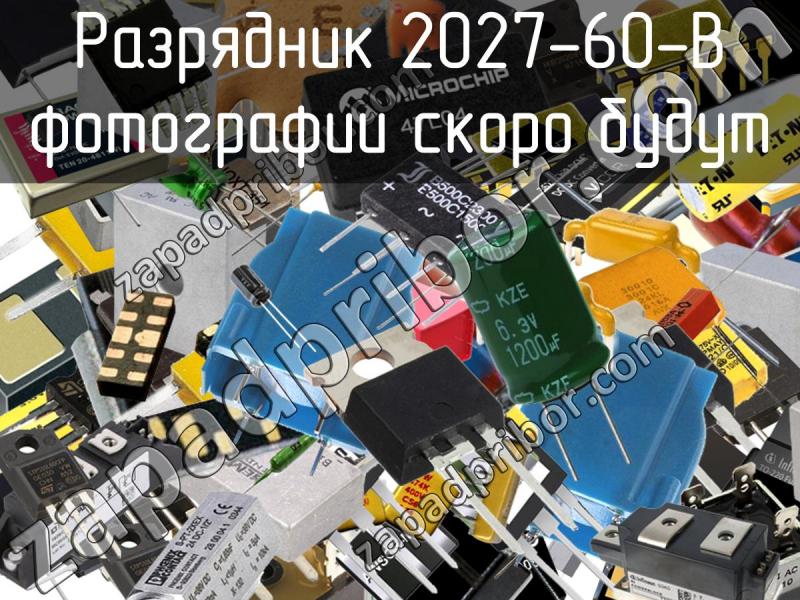 Разрядник 2027-60-B фотография.