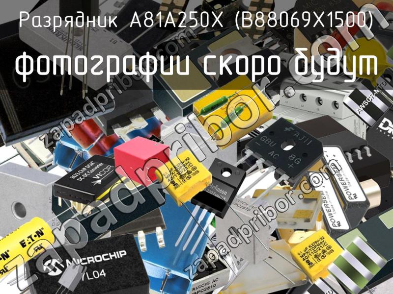 Разрядник A81A250X (B88069X1500) фотография.