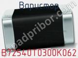 Варистор B72540T0300K062 фотография 2.