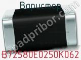 Варистор B72580E0250K062 фотография 2.