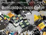 Ферритовий сердечник G2213 BBN 1S