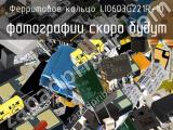 Ферритовое кольцо LI0603G221R-10