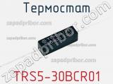 Термостат TRS5-30BCR01 