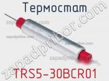 Термостат TRS5-30BCR01 фотография 3.