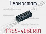 Термостат TRS5-40BCR01 