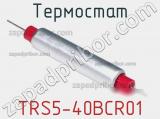 Термостат TRS5-40BCR01 фотография 3.