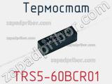 Термостат TRS5-60BCR01 