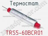 Термостат TRS5-60BCR01 фотография 3.