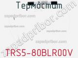Термостат TRS5-80BLR00V фотография 2.