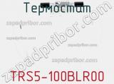 Термостат TRS5-100BLR00 фотография 2.