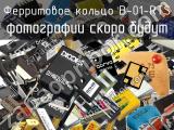 Ферритовое кольцо B-01-RTS 