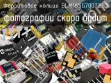 Ферритовое кольцо BLM18SG700TZ1D