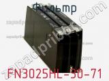 Фильтр FN3025HL-30-71 фотография 2.
