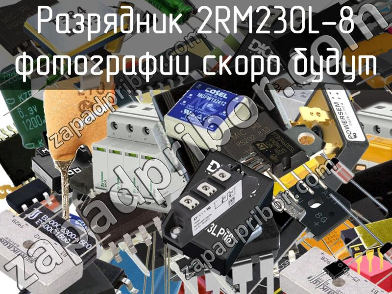 Разрядник 2RM230L-8 фотография.