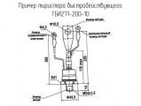 ТБИ271-200-10