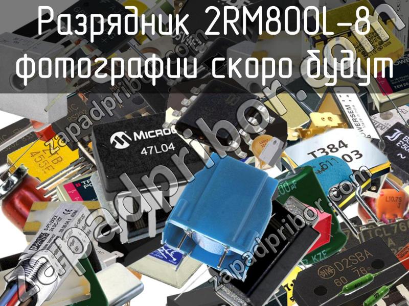 Разрядник 2RM800L-8 фотография.