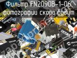 Фильтр FN2090B-1-06 