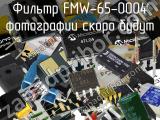 Фильтр FMW-65-0004