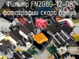 Фильтр FN2080-12-08 