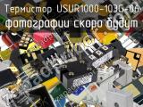 Термистор USUR1000-103G-06 