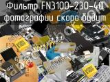 Фильтр FN3100-230-40 