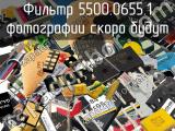 Фильтр 5500.0655.1 