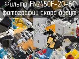 Фильтр FN2450F-20-61 