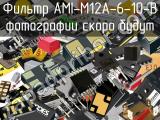 Фильтр AMI-M12A-6-10-B 