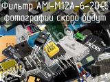 Фильтр AMI-M12A-6-20-C 
