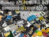 Фильтр AMI-M11P-1-3-B-2 