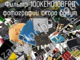 Фильтр 100KEHD10BFPD 