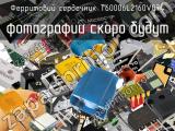 Ферритовий сердечник T60006L2160V074 