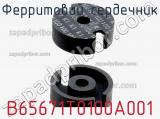 B65671T0100A001