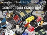 Термистор TT4-G10KC3-T80-OM54-500 