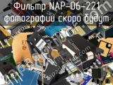 Фильтр NAP-06-221 