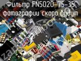Фильтр FN5020-75-35 