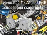 Термистор MS22 50004-B 