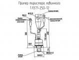 ТЛ371-250-12 