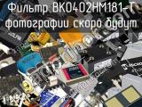 Фильтр BK0402HM181-T