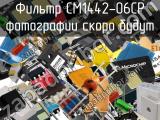 Фильтр CM1442-06CP