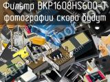 Фильтр BKP1608HS600-T 